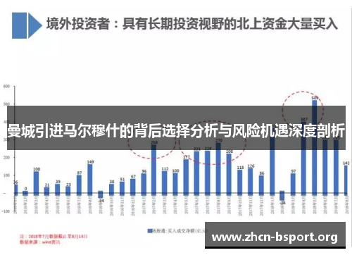 曼城引进马尔穆什的背后选择分析与风险机遇深度剖析