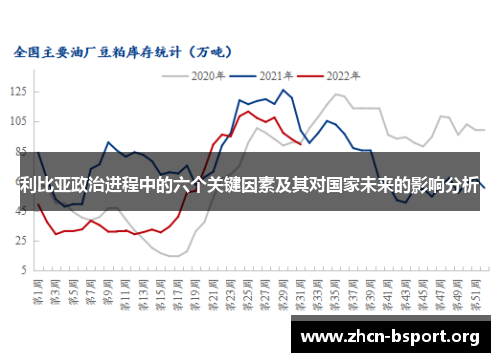 利比亚政治进程中的六个关键因素及其对国家未来的影响分析