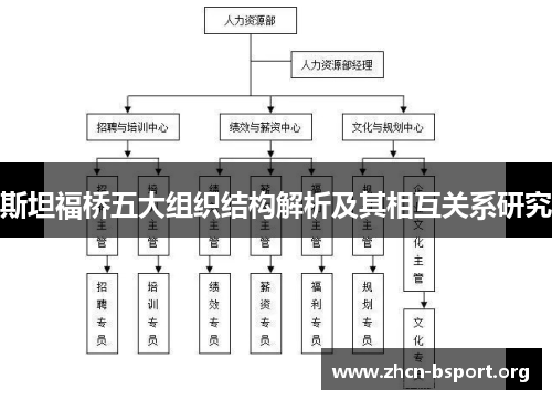 斯坦福桥五大组织结构解析及其相互关系研究