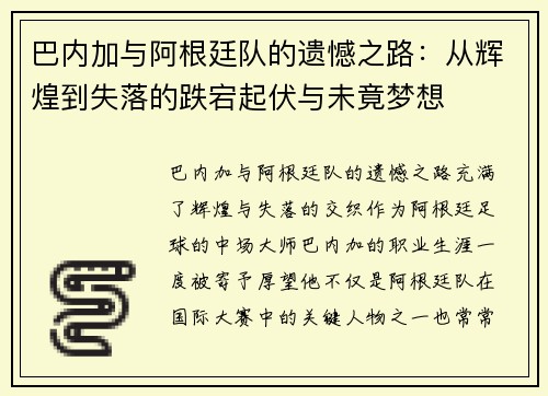 巴内加与阿根廷队的遗憾之路：从辉煌到失落的跌宕起伏与未竟梦想
