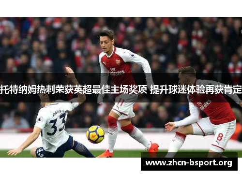 托特纳姆热刺荣获英超最佳主场奖项 提升球迷体验再获肯定