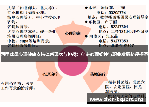 西甲球员心理健康支持体系现状与挑战：促进心理韧性与职业发展路径探索